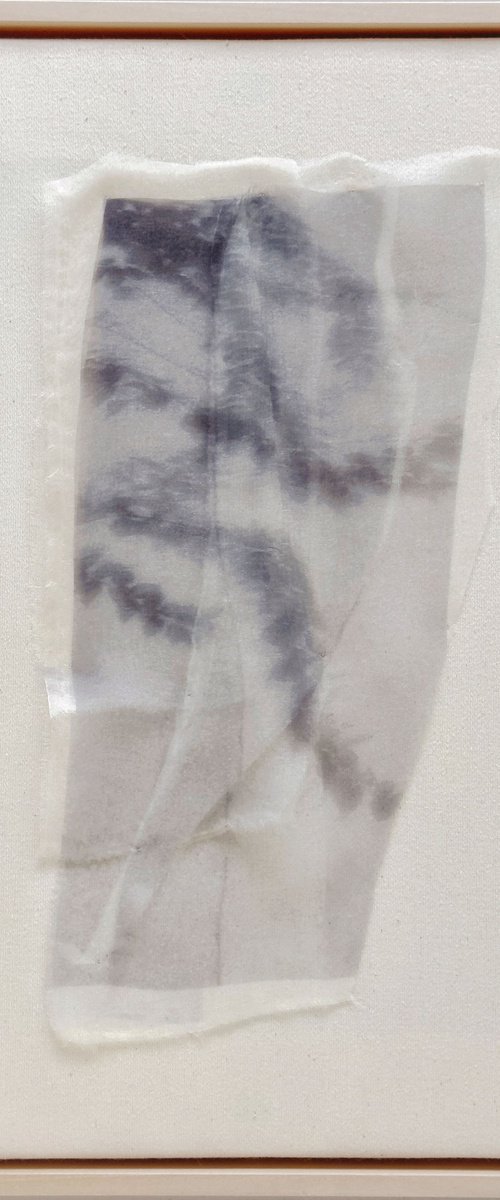 Membranes of Shadow III by Tatiana Johnson
