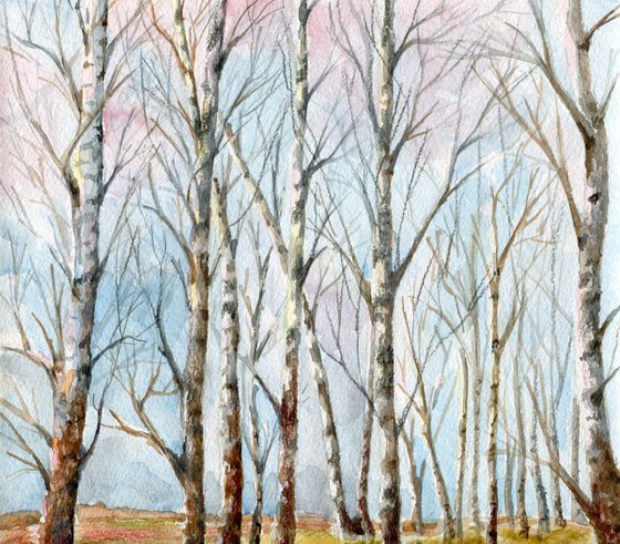 Autumn in a birch grove. Original watercolor artwork.