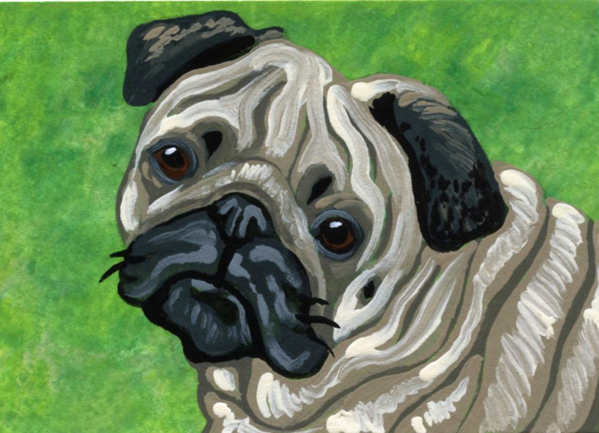 ACEO ATC Original Miniature Painting Fawn Pug Pet Dog Art-Carla Smale by carla smale