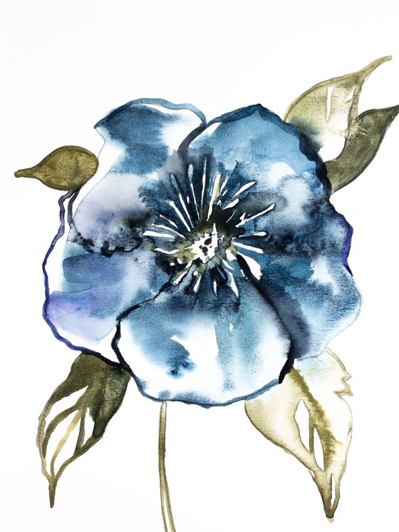 Hellebore No. 1