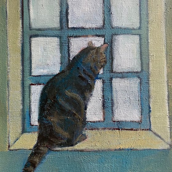 Cat in Window (Mylo)