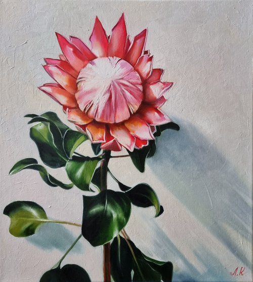 "About the African rose."  still life summer Protea flower liGHt original painting  GIFT (2021) by Anna Bessonova (Kotelnik)