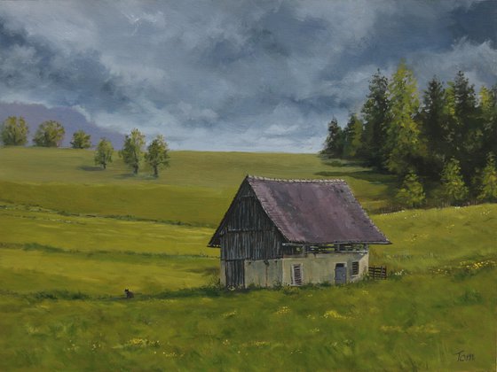 Small barn in meadow