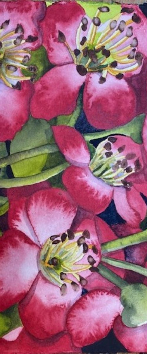 Ushers of Spring by Mary Lyn Gough