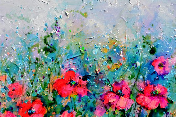 Wild Red Poppy, Poppies Field