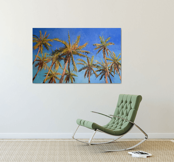 Coconut Palm Trees