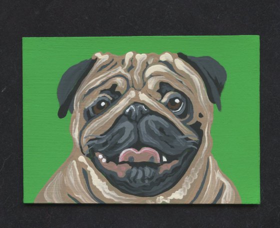 ACEO ATC Original Miniature Painting Fawn Pug Pet Dog Art-Carla Smale