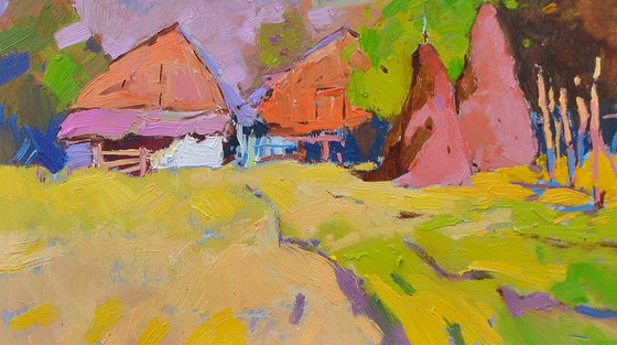 Sunny Yard