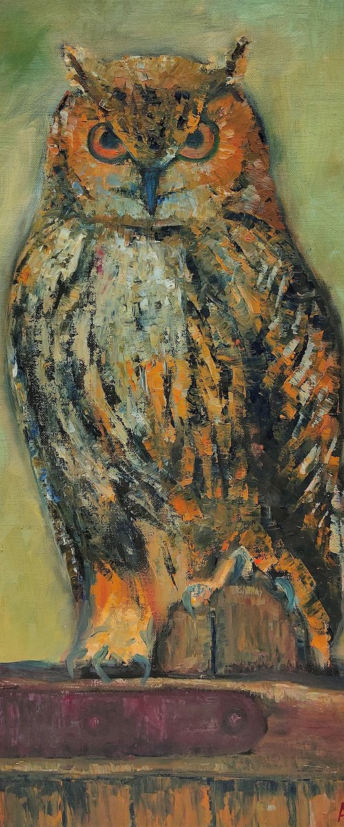 Owl by Albina Urbanek