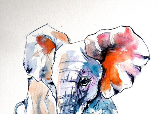 Elephant baby