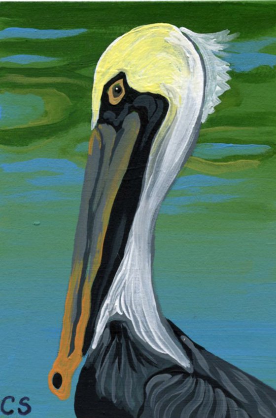 ACEO ATC Original Miniature Painting Pelican Bird Wildlife Art-Carla Smale