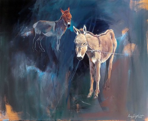 donkey by Róbert Kormos