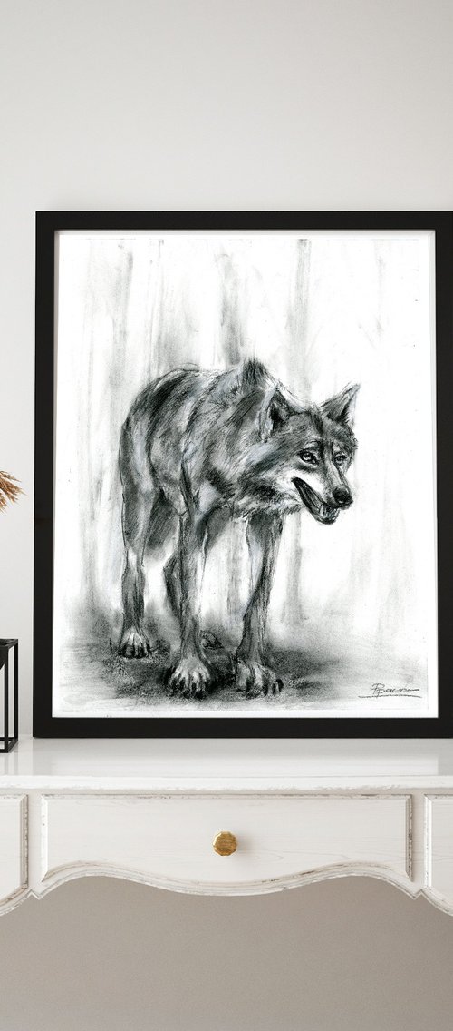 Gray Wolf - Charcoal drawing by Olga Tchefranov (Shefranov)