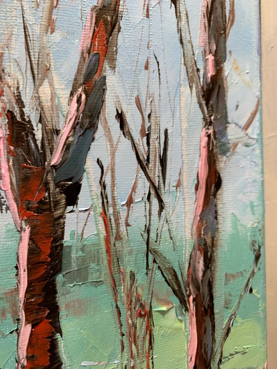 Blooming Bluebells, forest
