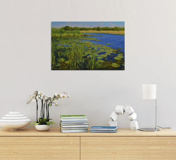 Creek with water lilies