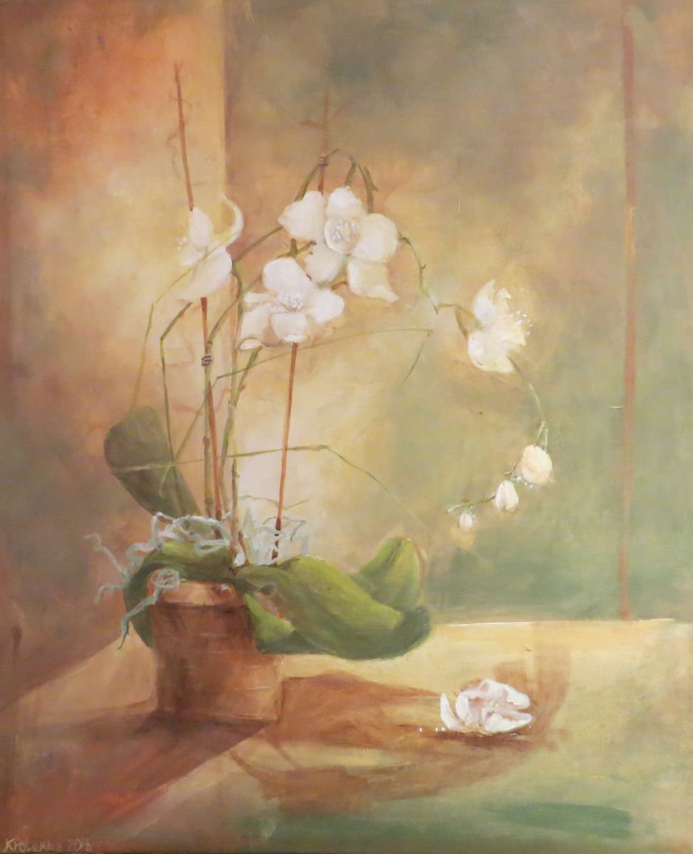 White orchid by Alexandra Krasuska