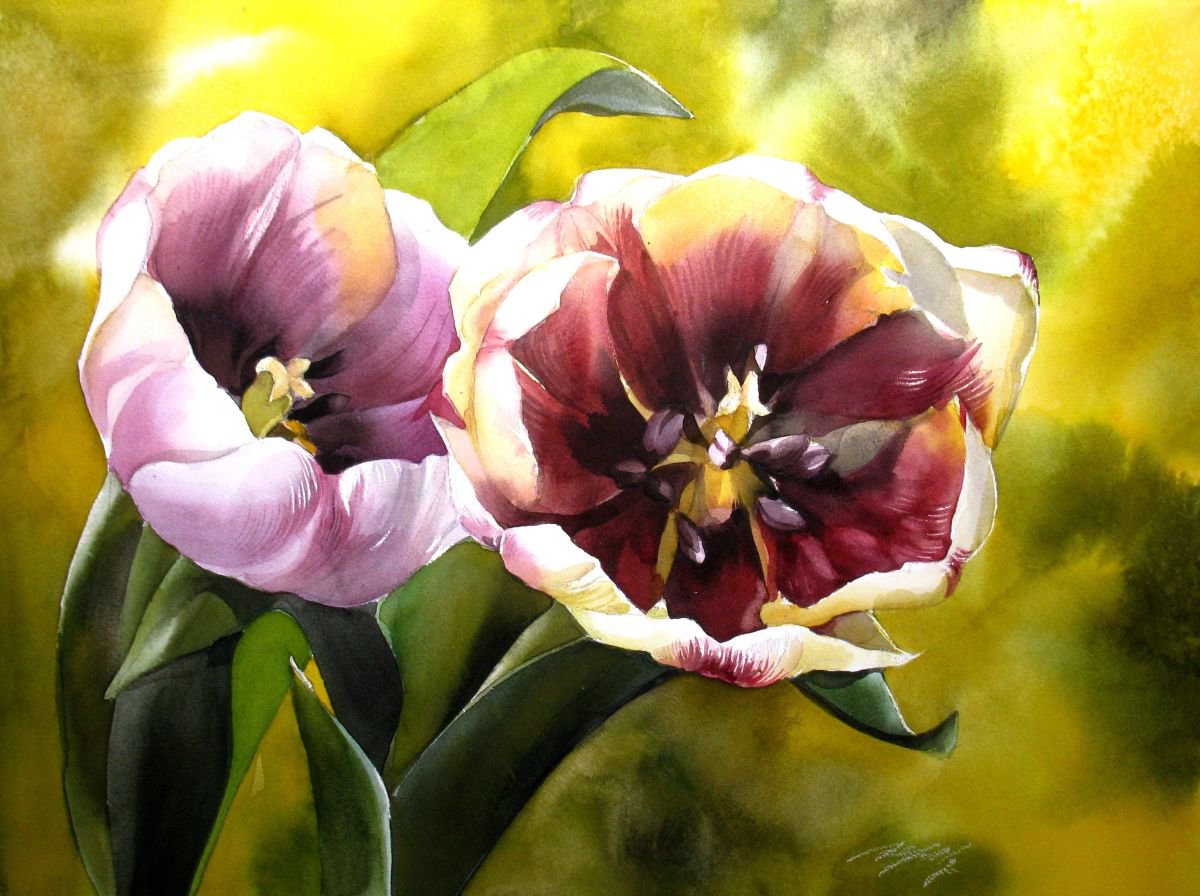 springtime with tulips by Alfred  Ng