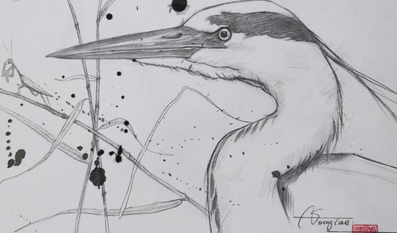 Drawing- Heron #20827