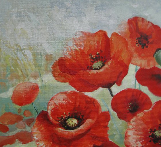 Poppies