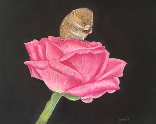 Mouse in rose by Maxine Taylor