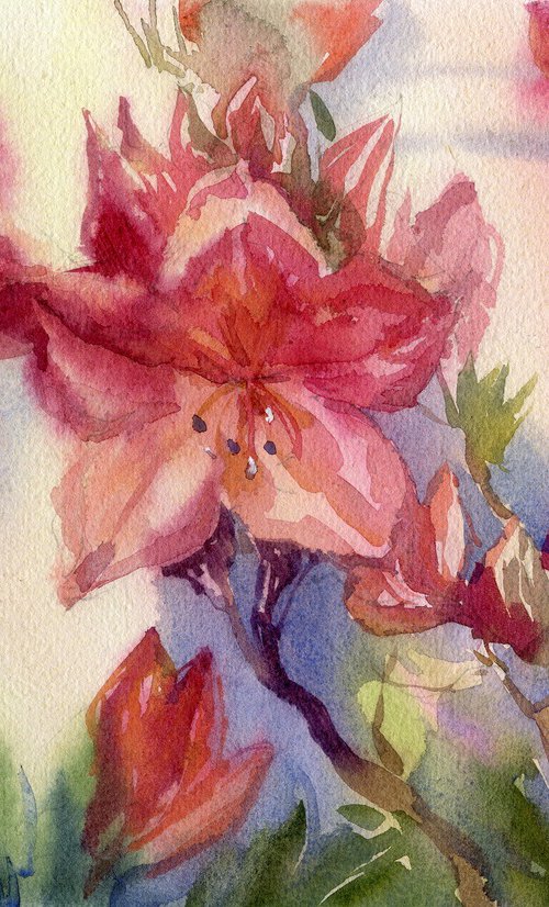 Radiant Rhododendrons by SVITLANA LAGUTINA