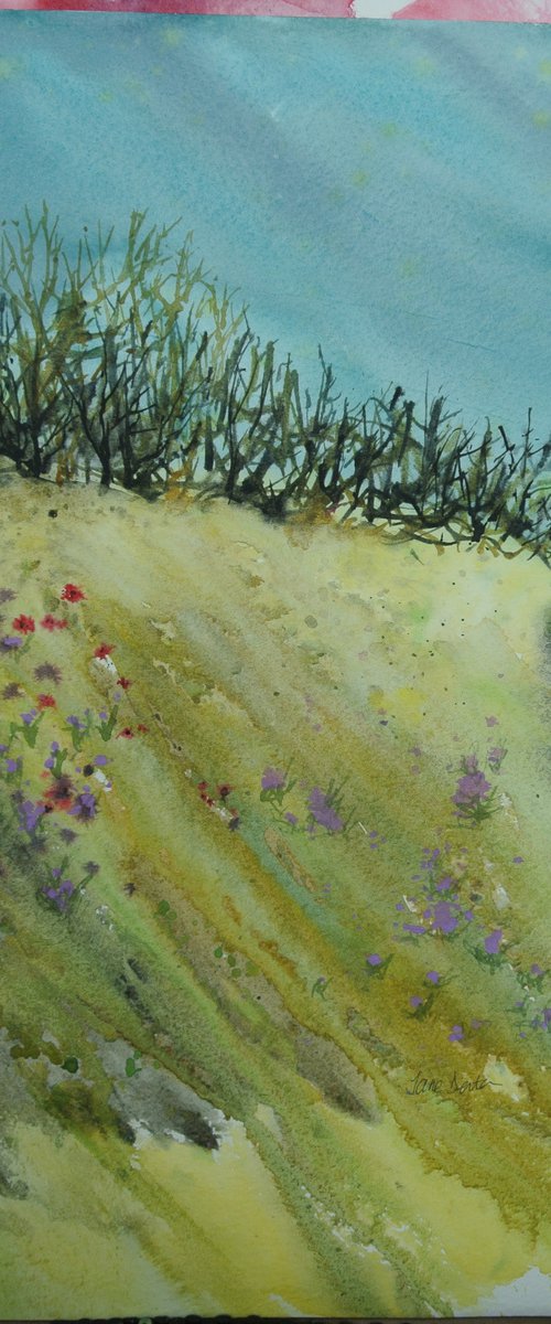 Cornish Hedgerow - Original Watercolour by JANE  DENTON