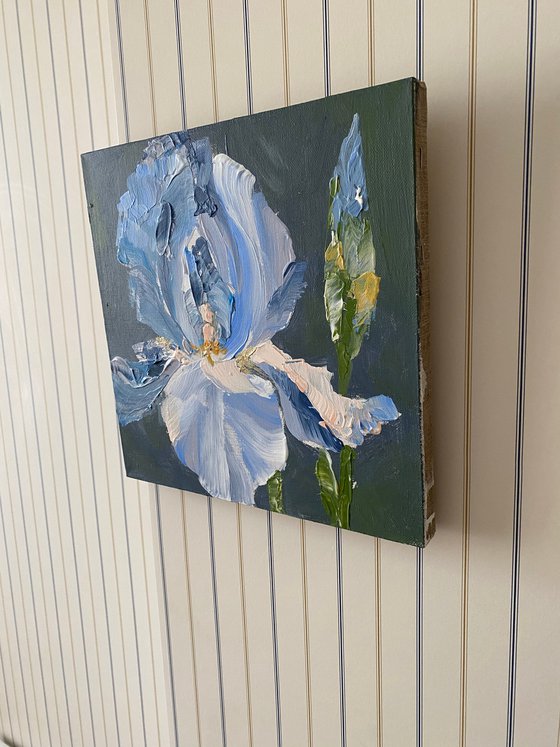 Blue iris original painting on canvas. Flowers