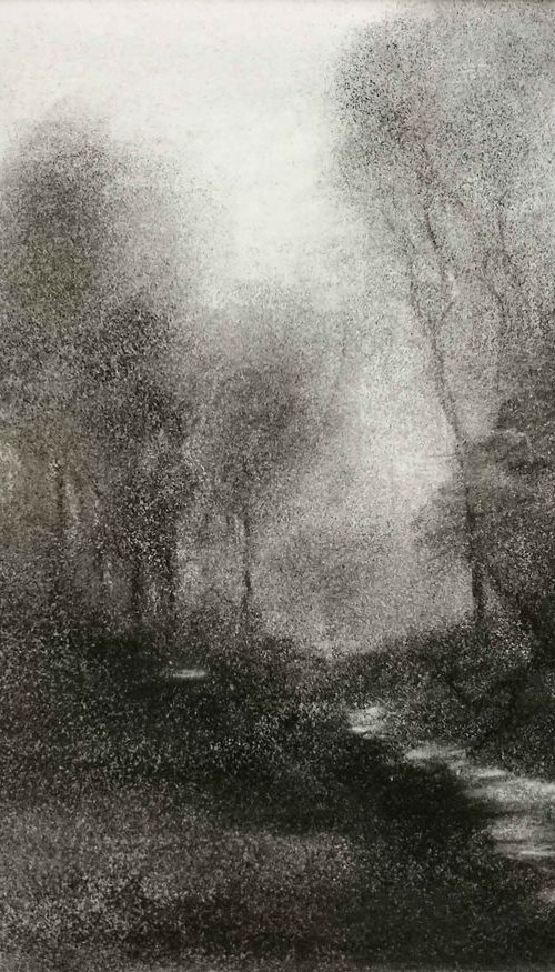 The Enchanted Forest by Daniela Roughsedge