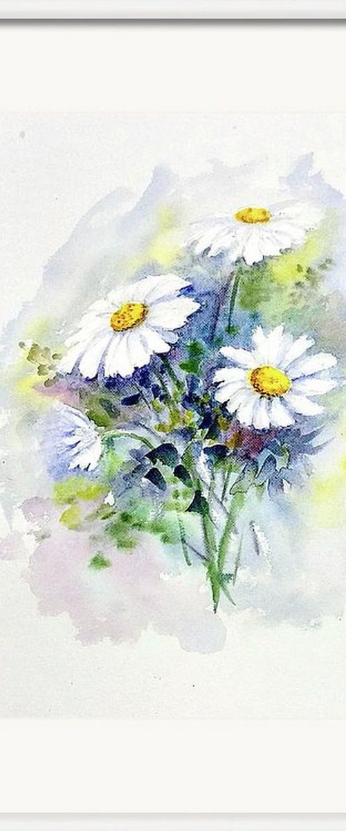 Dainty Daisies by Asha Shenoy