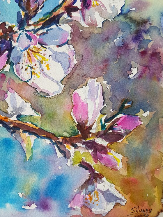 Almond blossom II