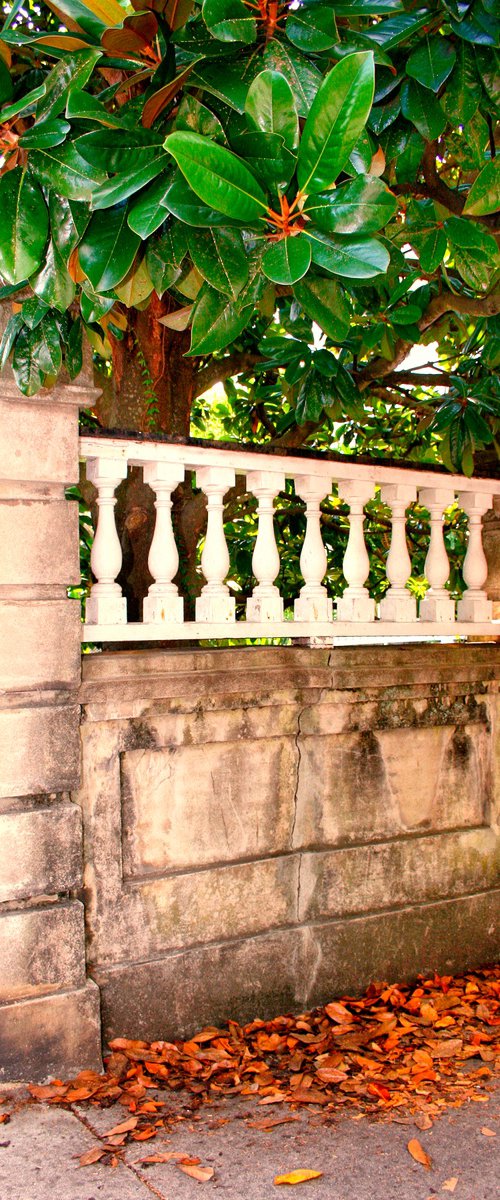 AROUND THE BALUSTRADE CORNER by William Dey