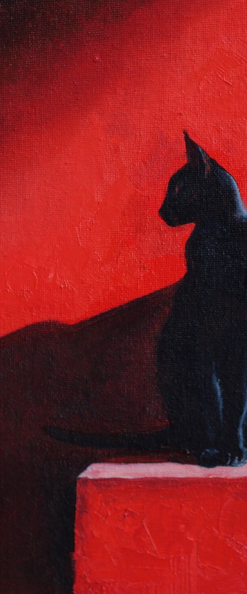Black Cat on Red by Alfia Koral