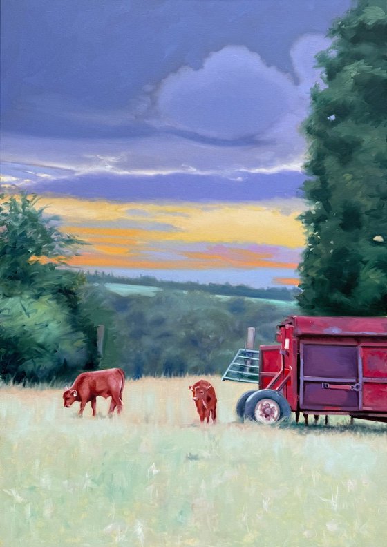 Two Calves at Dawn
