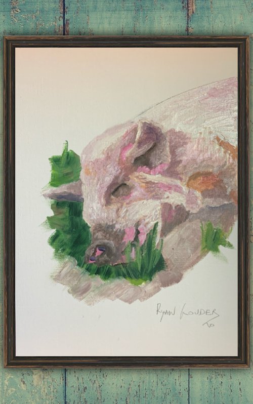 Pig Asleep In A Patch Of Grass by Ryan  Louder