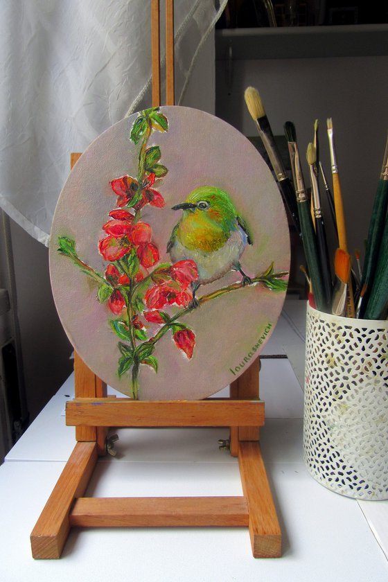 Birds' Life