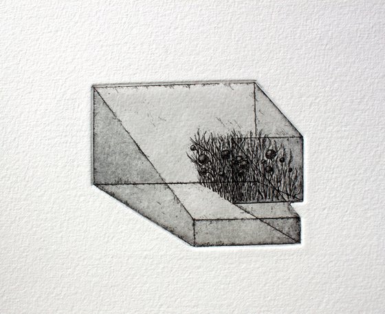 THE MEMORY OF DOMESTIC SPACE