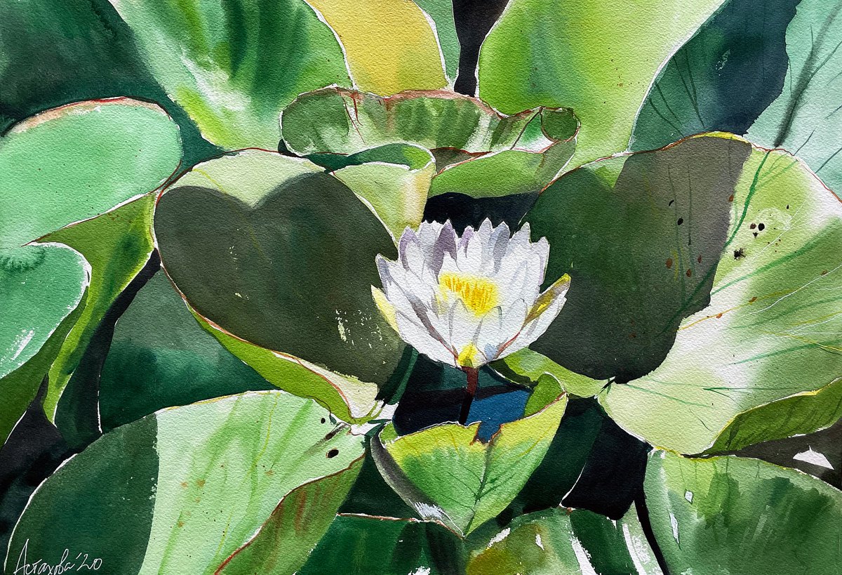 Impressionistic Botanical Watercolour By Ksenia Astakhova, 21 X 15", Water Lilies From Geneva Ii, Original Artwork