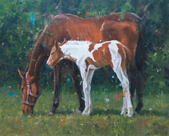 Tenderness - Horse And Foal