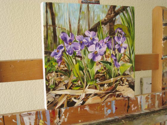 Sweet Violet in the Spring Forest, Woodland Scenery, Realistic Floral