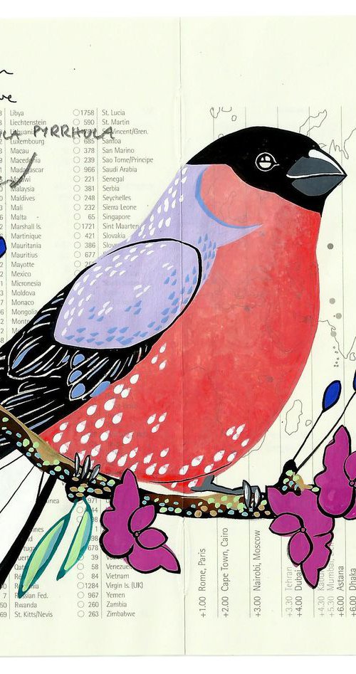 Birds of Europe: Bullfinch by Fran Giffard