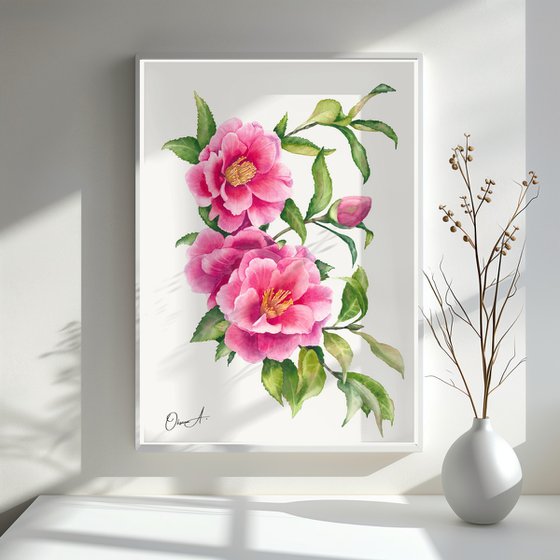 Camellia Branch