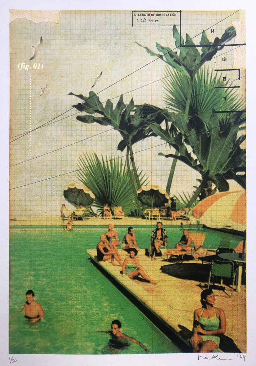 Portrait Screenprint By Maxine Gregson, 11 X 16", Tropical Swim Mini Edition, Original Artwork