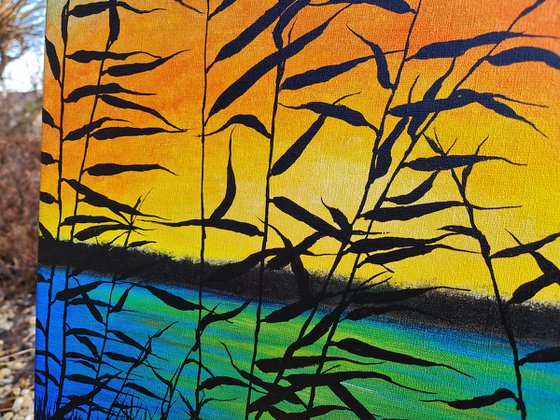 Grass by the river.