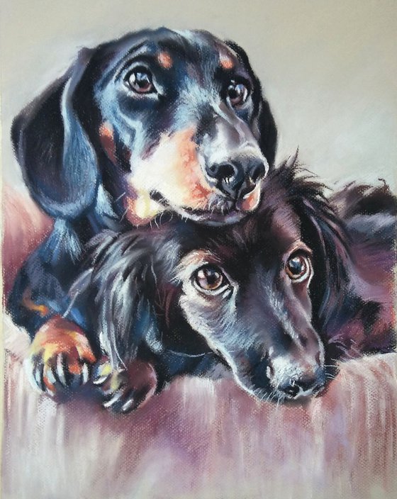 Dachshunds