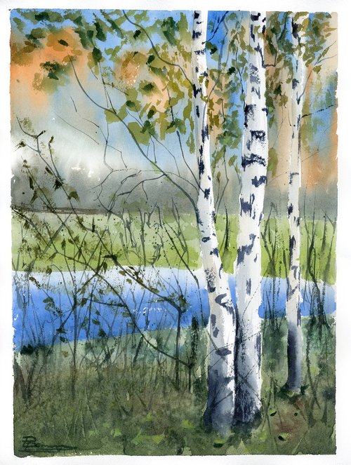 Birch Trees Landscape #1 by Olga Shefranov (Tchefranov)