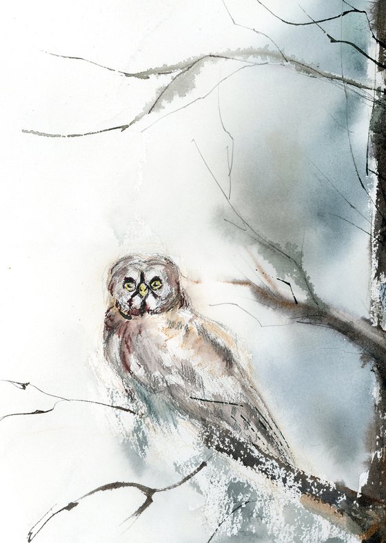 Owl in the Frosted Silence