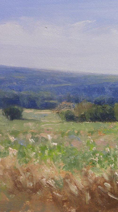 Field near Sisteron by Pascal Giroud