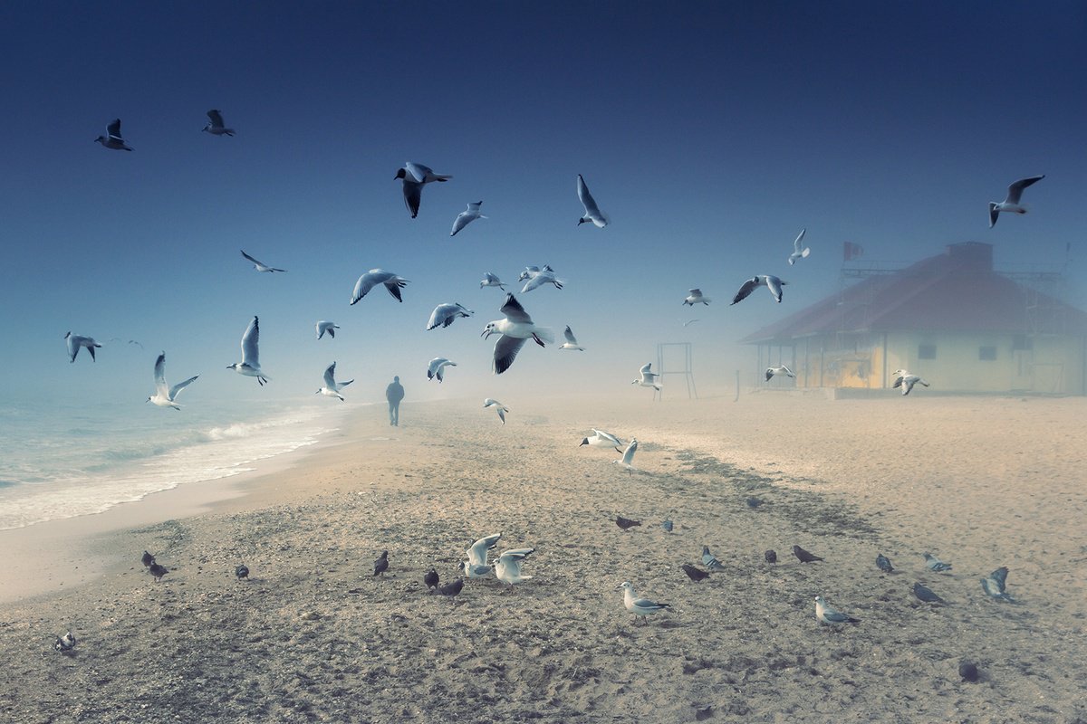 Photorealistic Landscape Photograph By Valerix, 35 X 24", On The Misty Seaside., Original Artwork