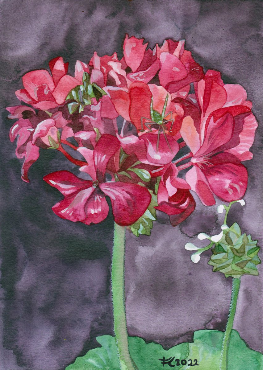 Illustrative Painting , Garden Variety By Terri Smith, 12 X 16, Artwork For Sale On Artfinder
