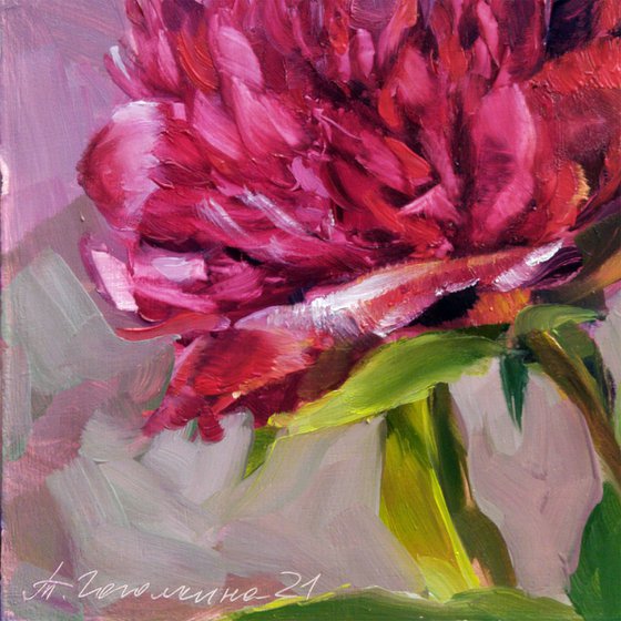 Red peony